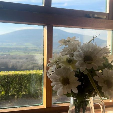 Yewwood Cottage Newry Bagian luar foto